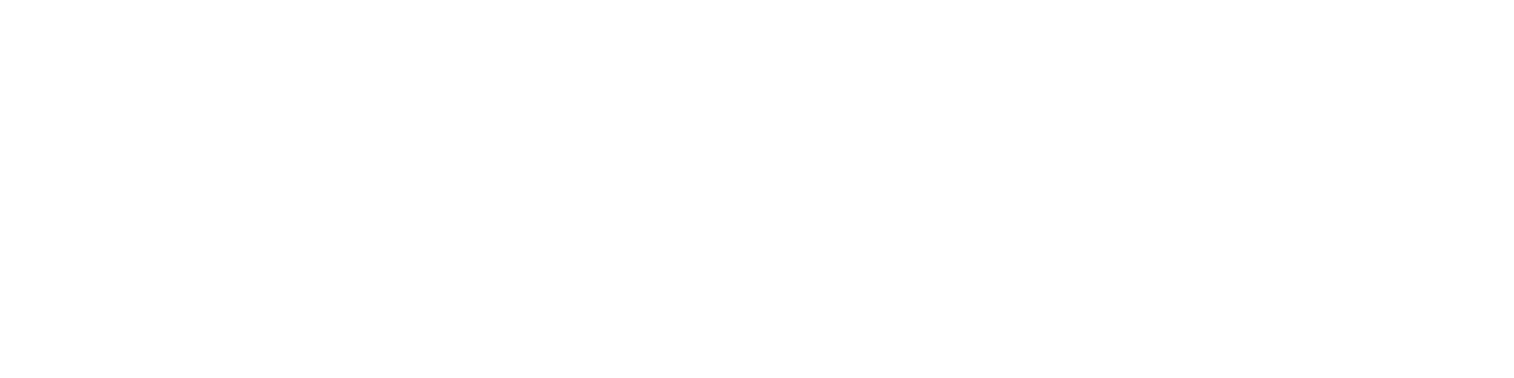 Michelson 20MM Foundation Logo